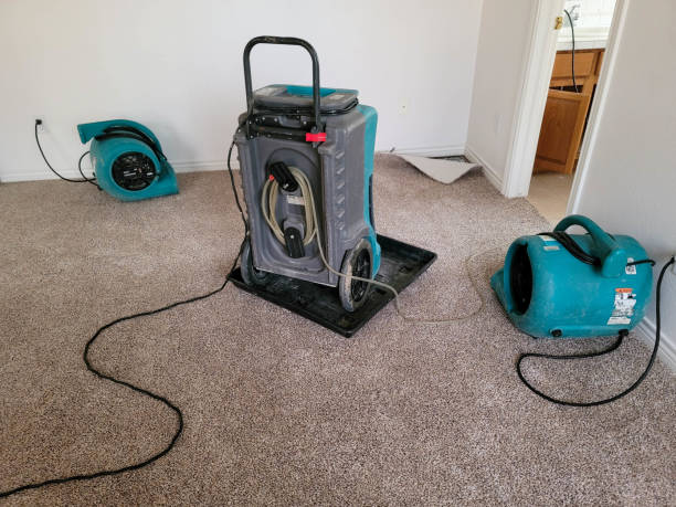 Best Water damage restoration near me  in Newport, RI