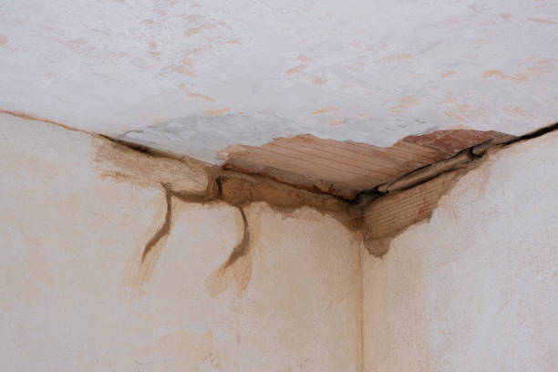 Best Fire Damage Restoration  in Newport, RI