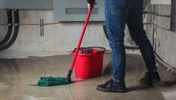Best Water damage restoration services  in Newport, RI