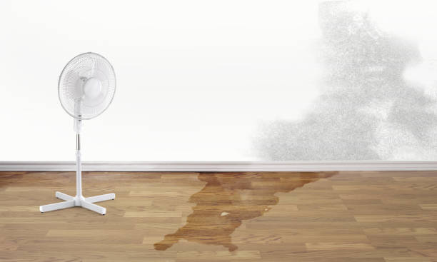 Best Flood restoration services  in Newport, RI