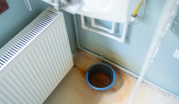 Best Carpet water damage restoration  in Newport, RI