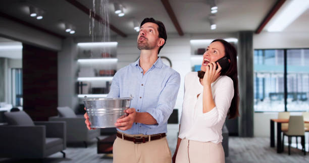 Best Mold removal after water damage  in Newport, RI
